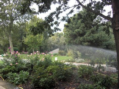 ベルシー公園