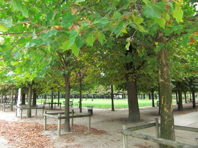 チュイルリー公園